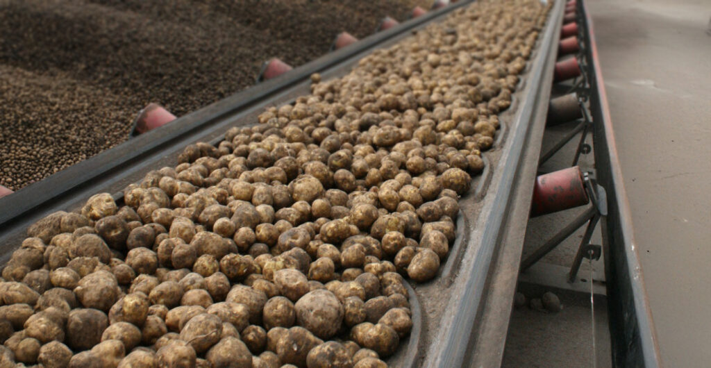 Agriculture and grain handling